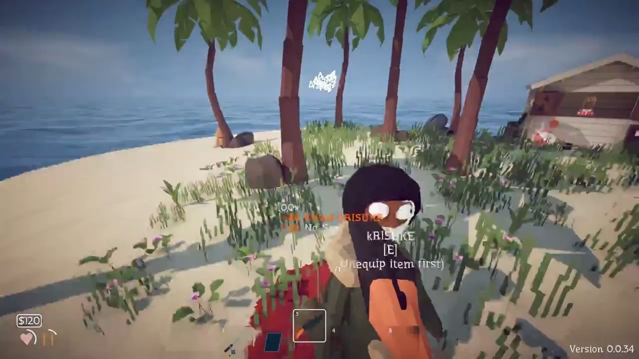 Two players helping each other on a beach in the official How to Fish release trailer